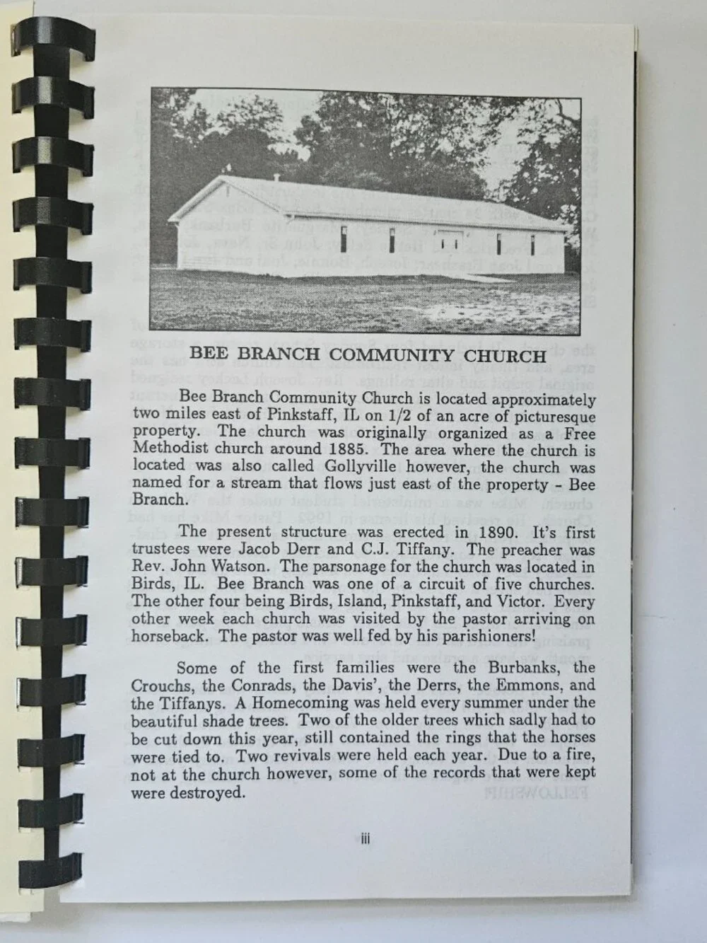 Vintage 1972 Favorite Recipes Bee Branch church Cookbook Illinois granny cottage